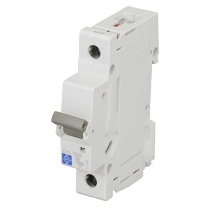 Lewden 6 Amp Type B Single Pole MCB B6 E10-1B06